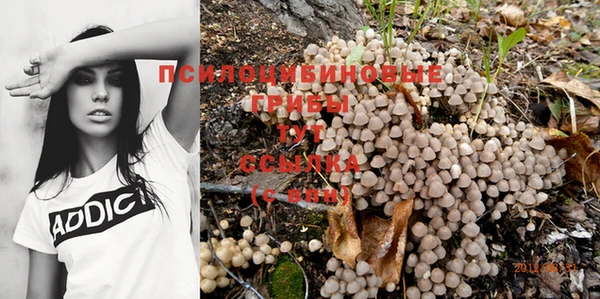 тгк Абаза