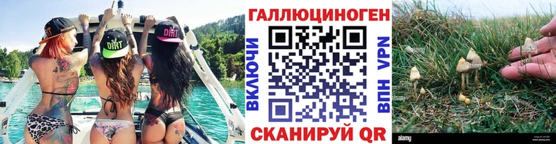 Галлюциногенные грибы мицелий Старый Крым